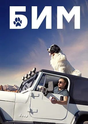 БиМ (2021) онлайн бесплатно